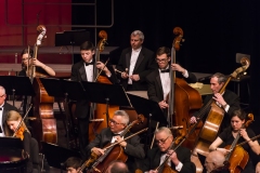 WHSO-Classical-2015-56