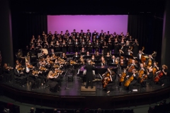 WHSO-Classical-2015-65